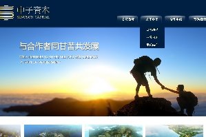 中子资本上海网站设计公司项目